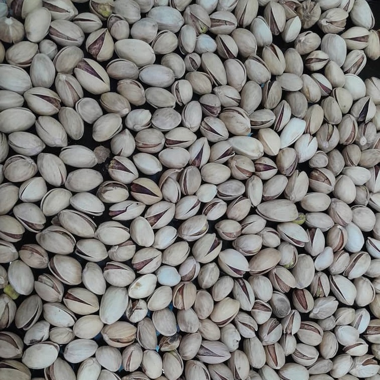  پسته سنجی | مرجع خرید عمده انواع پسته مرغوب (اکبری، احمدآقایی، فندقی و...)
